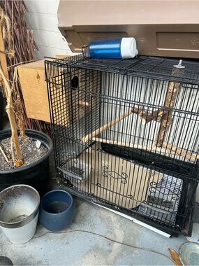 Black Wire Bird Cage with Wooden Perches